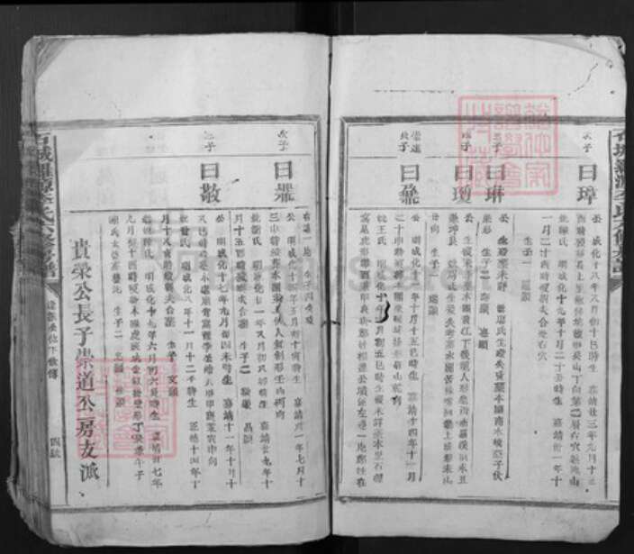 山东省菏泽市渮泽市李氏族谱-石城罗源李氏六修房谱.pdf电子版预览图2