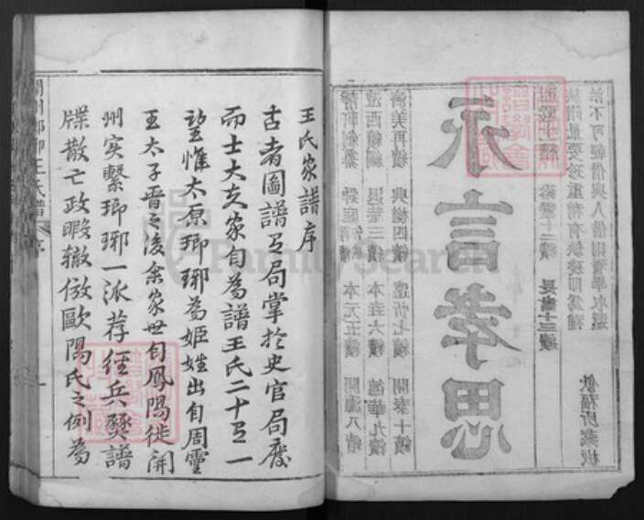 山东省菏泽市渮泽市王氏族谱-开州琅琊王氏谱.pdf电子版预览图2