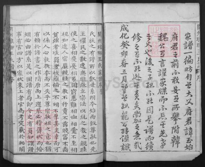 山东省菏泽市渮泽市王氏族谱-开州琅琊王氏谱.pdf电子版预览图3