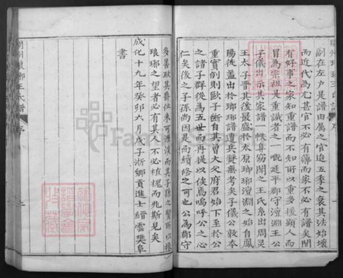 山东省菏泽市渮泽市王氏族谱-开州琅琊王氏谱.pdf电子版预览图4