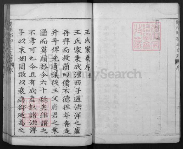 山东省菏泽市渮泽市王氏族谱-开州琅琊王氏谱.pdf电子版预览图5