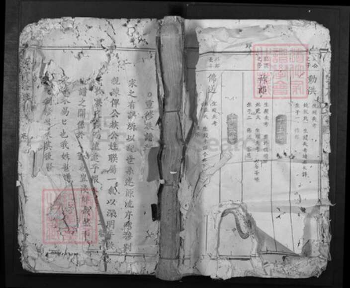 江西省赣州市巫氏族谱-巫氏重修族谱[不分卷].pdf电子版缩略图