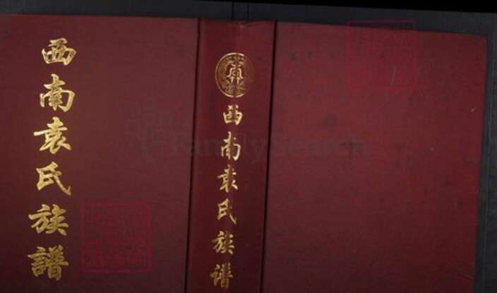 河南省周口市淮阳袁氏族谱-西南袁氏族谱.pdf电子版缩略图