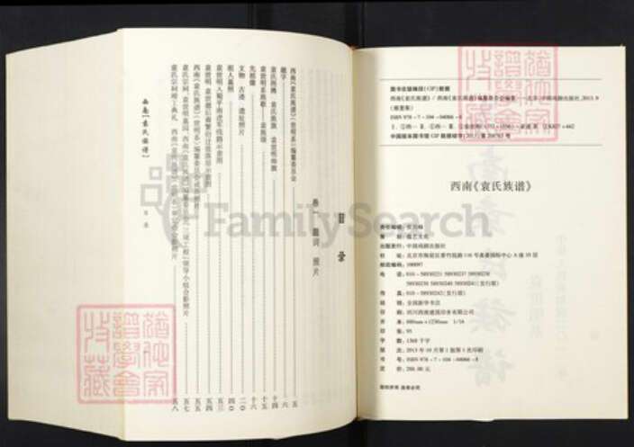 河南省周口市淮阳袁氏族谱-西南袁氏族谱.pdf电子版预览图2