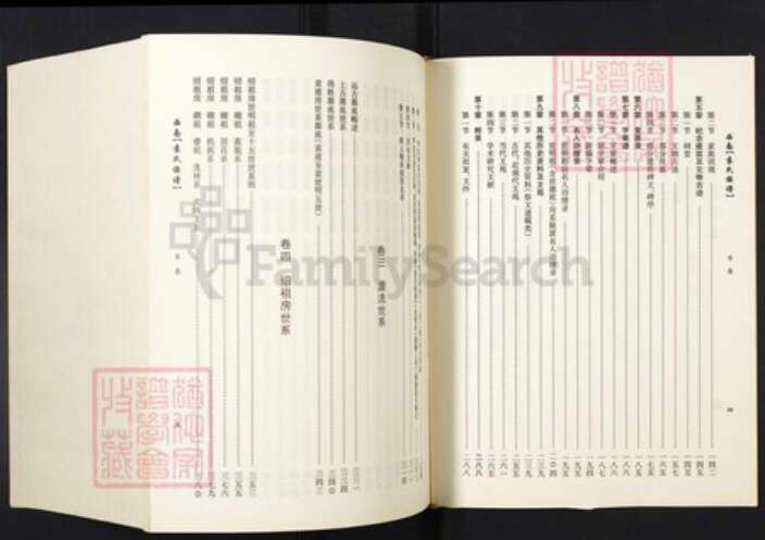 河南省周口市淮阳袁氏族谱-西南袁氏族谱.pdf电子版预览图4