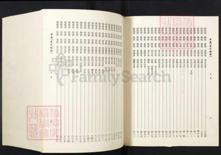 河南省周口市淮阳袁氏族谱-西南袁氏族谱.pdf电子版预览图5