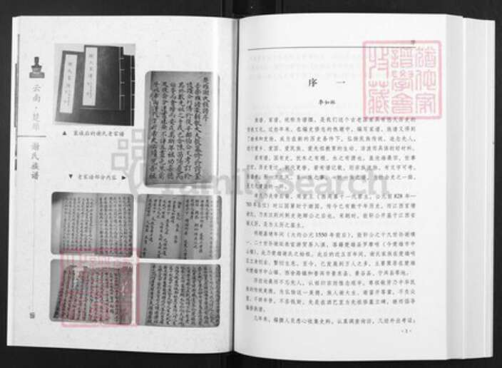 云南省昆明市富民县谢氏族谱-云南楚雄.谢氏族谱.pdf电子版预览图2