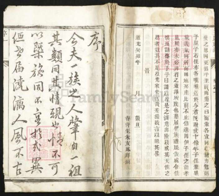 江苏省泰州市王氏族谱-王氏族谱.pdf电子版缩略图