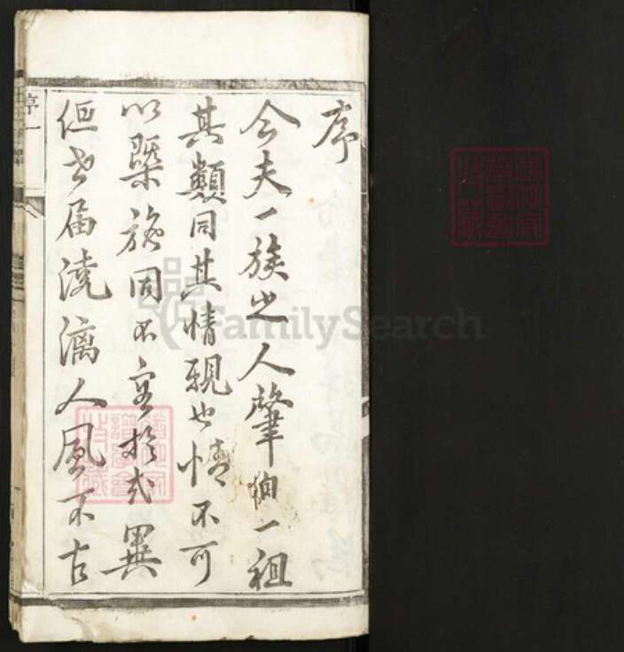 江苏省泰州市王氏族谱-王氏族谱.pdf电子版预览图1