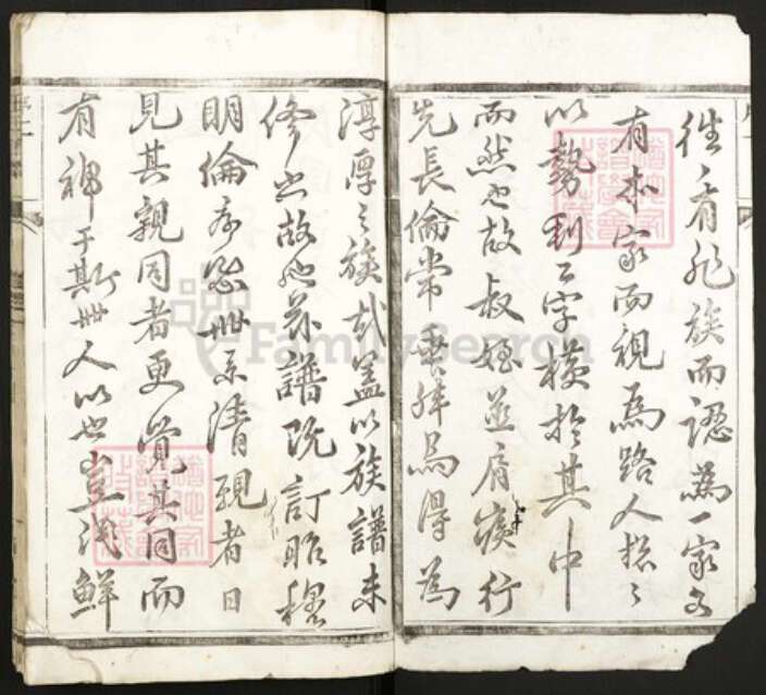 江苏省泰州市王氏族谱-王氏族谱.pdf电子版预览图2