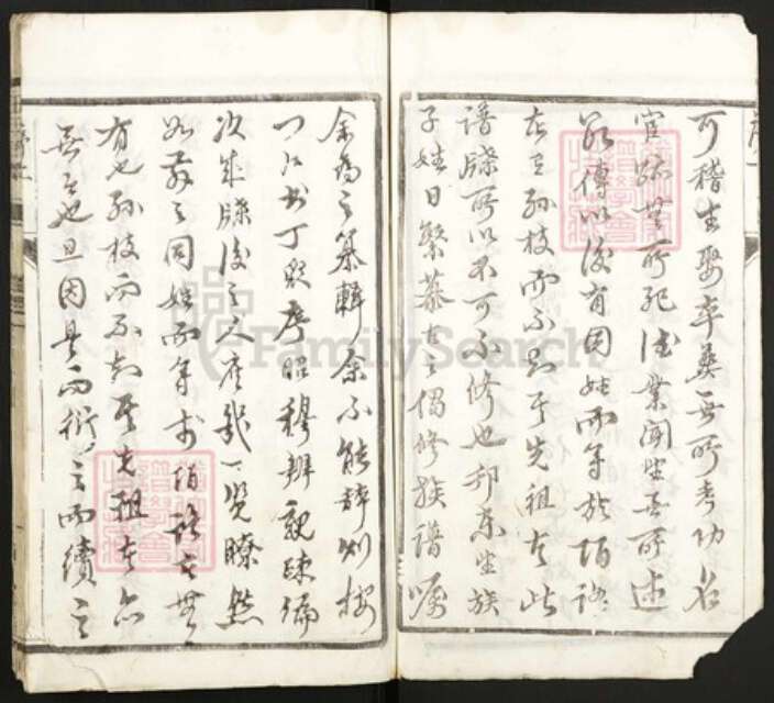 江苏省泰州市王氏族谱-王氏族谱.pdf电子版预览图4