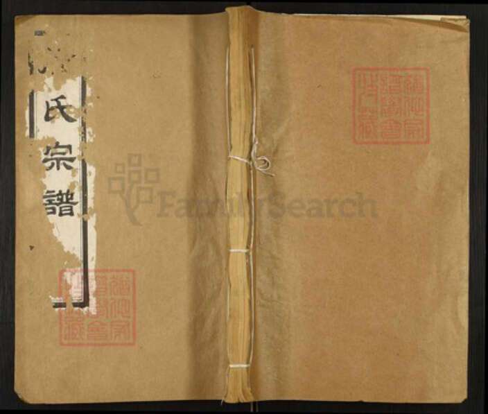 山东省德州市平原县陆氏种德堂族谱-陆氏宗谱.pdf电子版缩略图