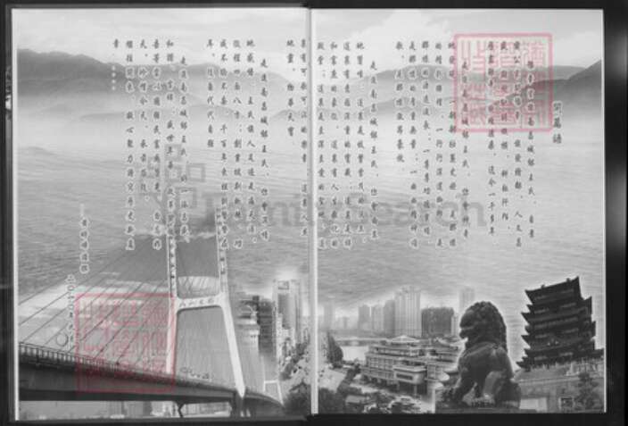 江西省抚州市南丰县王氏豫章堂族谱-豫章王氏宗谱.城郊分谱.pdf电子版预览图5