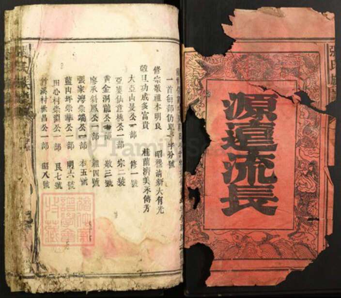福建省漳州市平和县龙溪张氏清河堂族谱-张氏族谱.pdf电子版预览图1