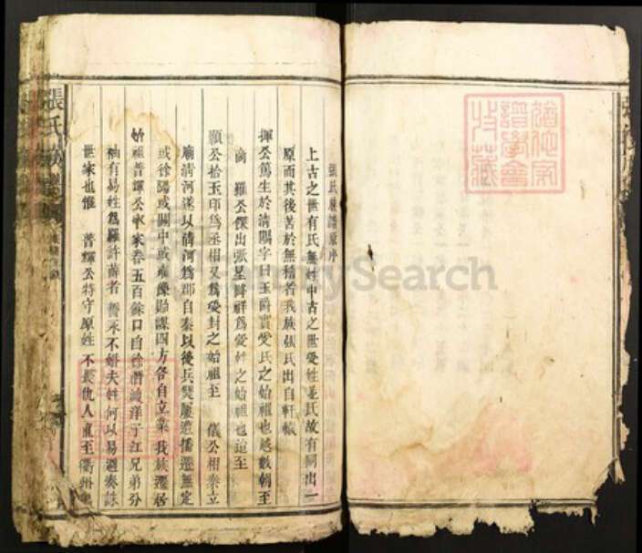 福建省漳州市平和县龙溪张氏清河堂族谱-张氏族谱.pdf电子版预览图3