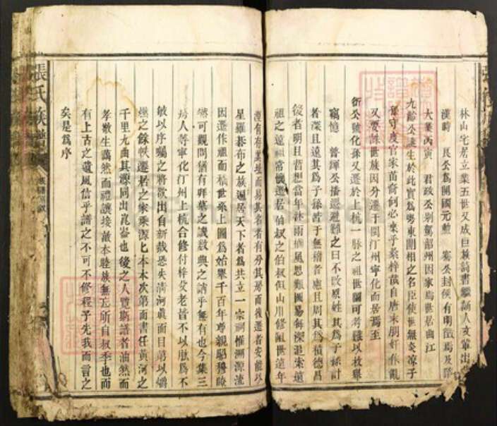福建省漳州市平和县龙溪张氏清河堂族谱-张氏族谱.pdf电子版预览图4