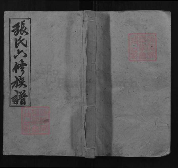 湖南省邵阳市张氏四益堂族谱-邵陵张氏六修族谱.pdf电子版缩略图