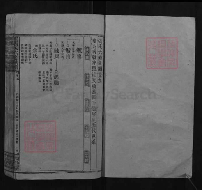 湖南省邵阳市张氏四益堂族谱-邵陵张氏六修族谱.pdf电子版预览图1