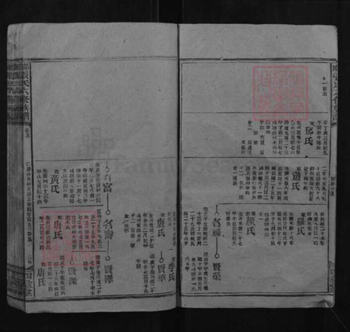 湖南省邵阳市张氏四益堂族谱-邵陵张氏六修族谱.pdf电子版预览图3