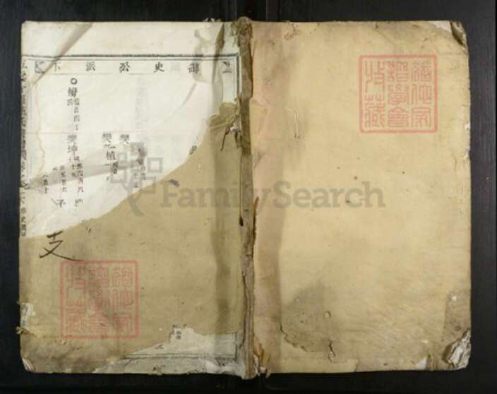 浙江省丽水市缙云县施氏族谱-五云甘罗施氏宗谱.pdf电子版缩略图