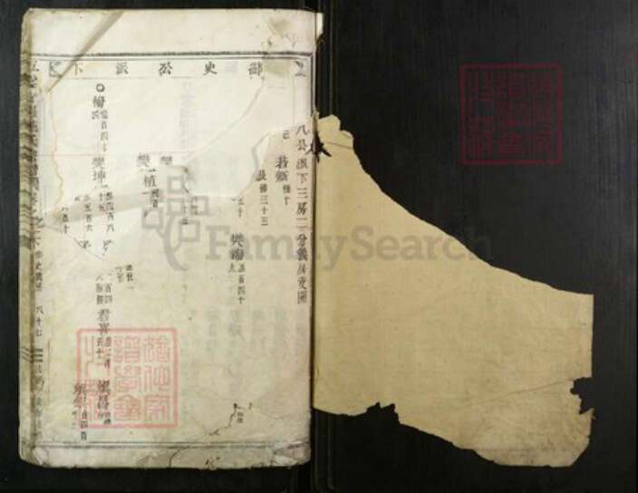 浙江省丽水市缙云县施氏族谱-五云甘罗施氏宗谱.pdf电子版预览图1