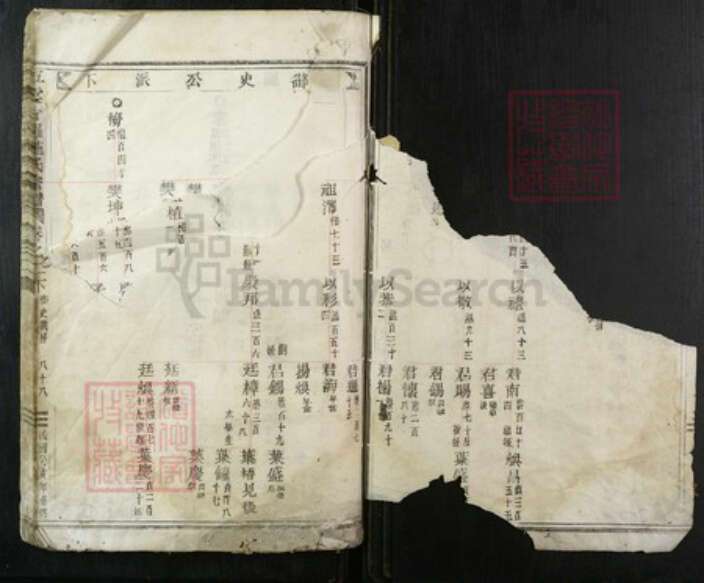 浙江省丽水市缙云县施氏族谱-五云甘罗施氏宗谱.pdf电子版预览图2