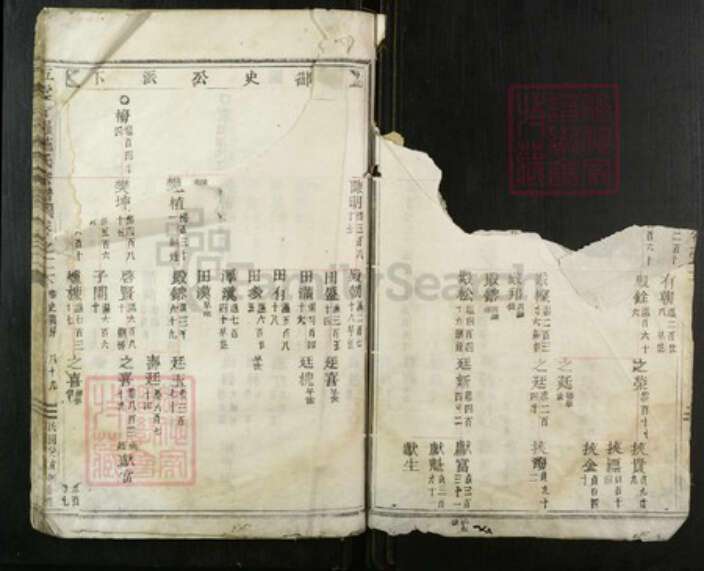 浙江省丽水市缙云县施氏族谱-五云甘罗施氏宗谱.pdf电子版预览图3