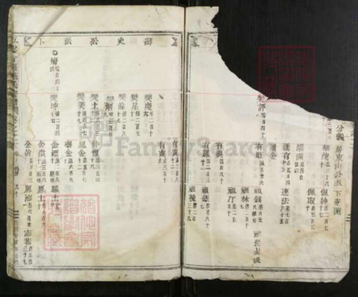 浙江省丽水市缙云县施氏族谱-五云甘罗施氏宗谱.pdf电子版预览图4