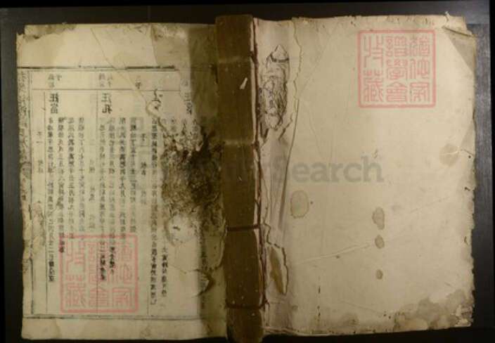 江西省抚州市谭氏族谱-抚乐池溪谭氏族谱.pdf电子版缩略图