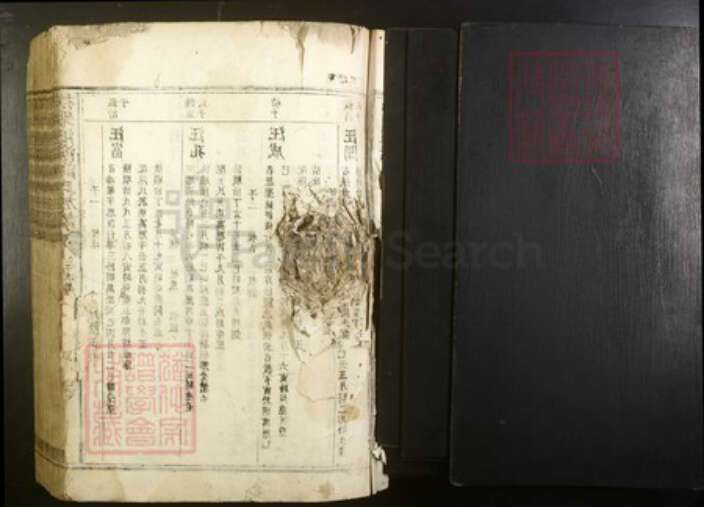 江西省抚州市谭氏族谱-抚乐池溪谭氏族谱.pdf电子版预览图1