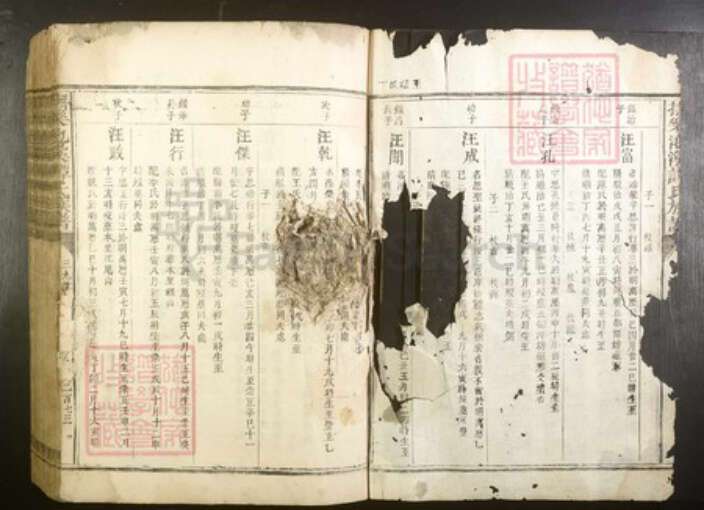 江西省抚州市谭氏族谱-抚乐池溪谭氏族谱.pdf电子版预览图2