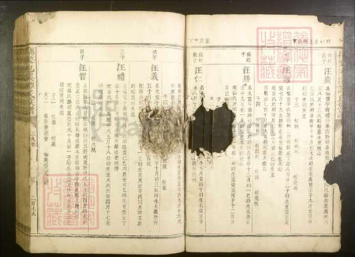 江西省抚州市谭氏族谱-抚乐池溪谭氏族谱.pdf电子版预览图5