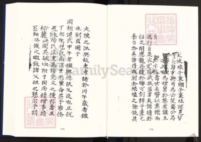 江西省宜春市丰城市段潭乡李氏族谱-中国珍稀家谱丛刊明代家谱.第4册.重修李氏族谱.pdf电子版预览图5