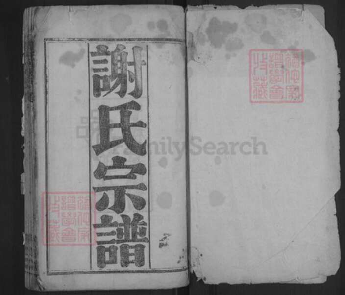 湖北省武汉市新洲区凤凰镇谢氏宝树堂族谱-谢氏宗谱.pdf电子版预览图1