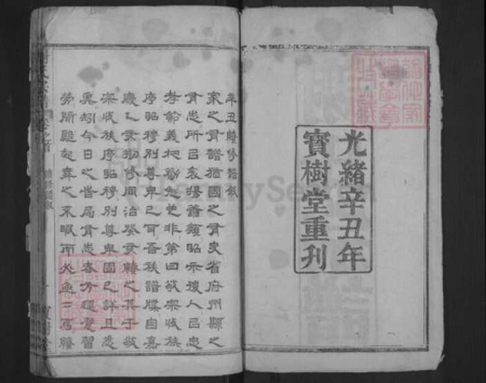 湖北省武汉市新洲区凤凰镇谢氏宝树堂族谱-谢氏宗谱.pdf电子版预览图2