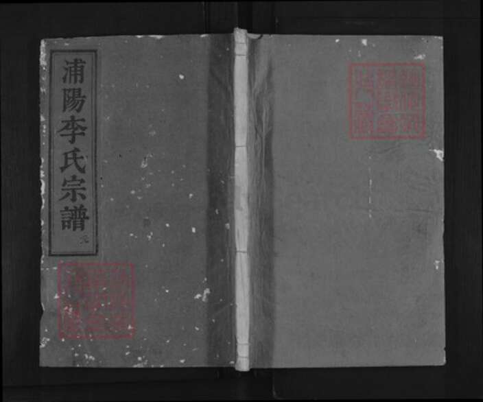 浙江省金华市浦江县李氏族谱-浦阳李氏宗谱.pdf电子版缩略图