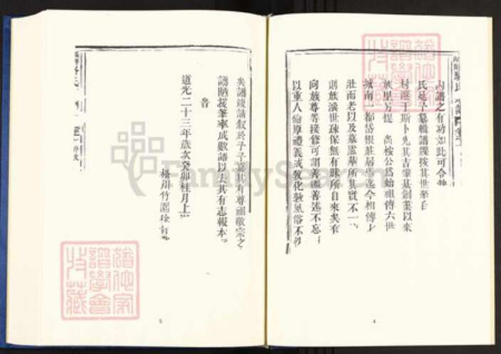 浙江省丽水市遂昌县高坪骆氏族谱-中国珍稀家谱丛刊.稀见姓氏家谱.第2辑.第5册.麻洋内黄骆氏宗谱.清源留氏族谱.pdf电子版预览图5