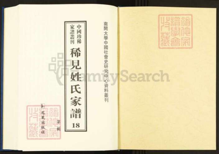 湖南省邵阳市邵东市团山镇禹氏敦伦堂族谱-中国珍稀家谱丛刊.稀见姓氏家谱.第2辑.第18~24册.团山禹氏四修房谱.pdf电子版预览图1