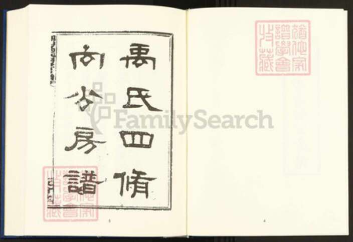 湖南省邵阳市邵东市团山镇禹氏敦伦堂族谱-中国珍稀家谱丛刊.稀见姓氏家谱.第2辑.第18~24册.团山禹氏四修房谱.pdf电子版预览图5