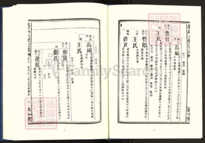 湖南省衡阳市珠晖区綦氏敦本堂族谱-中国珍稀家谱丛刊.稀见姓氏家谱.第2辑.第38~42册.湘东綦氏六修宗谱.pdf电子版预览图5