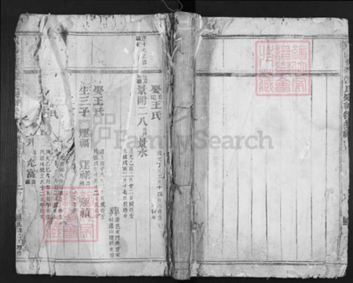 浙江省金华市义乌市佛堂镇陈氏族谱-义乌倍磊陈氏宗谱.pdf电子版缩略图