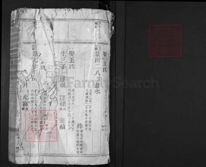 浙江省金华市义乌市佛堂镇陈氏族谱-义乌倍磊陈氏宗谱.pdf电子版预览图1