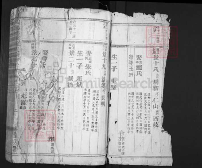 浙江省金华市义乌市佛堂镇陈氏族谱-义乌倍磊陈氏宗谱.pdf电子版预览图2