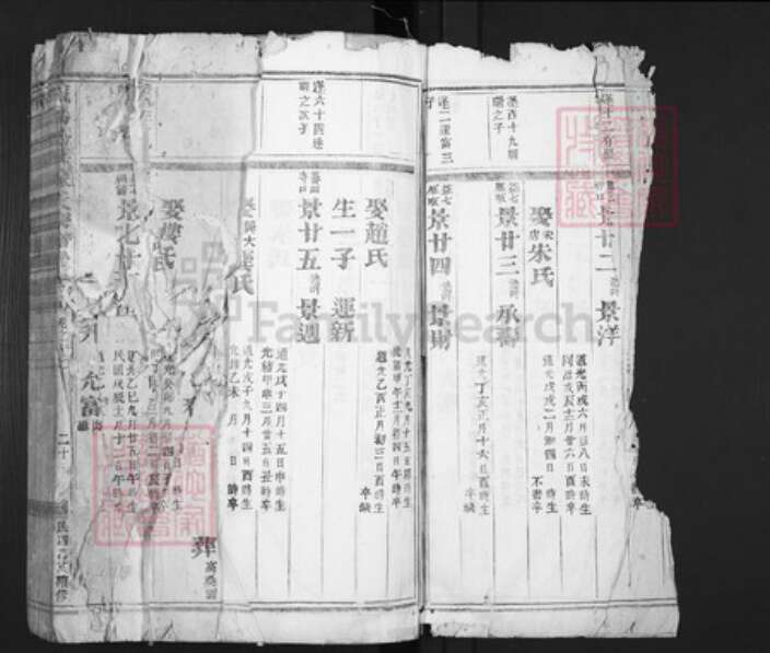 浙江省金华市义乌市佛堂镇陈氏族谱-义乌倍磊陈氏宗谱.pdf电子版预览图3