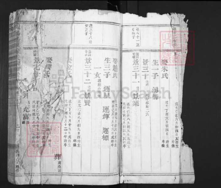 浙江省金华市义乌市佛堂镇陈氏族谱-义乌倍磊陈氏宗谱.pdf电子版预览图4