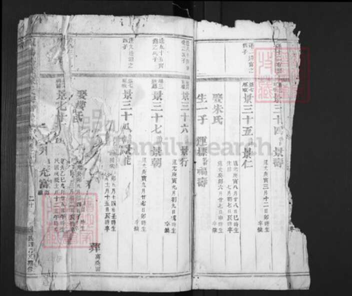 浙江省金华市义乌市佛堂镇陈氏族谱-义乌倍磊陈氏宗谱.pdf电子版预览图5