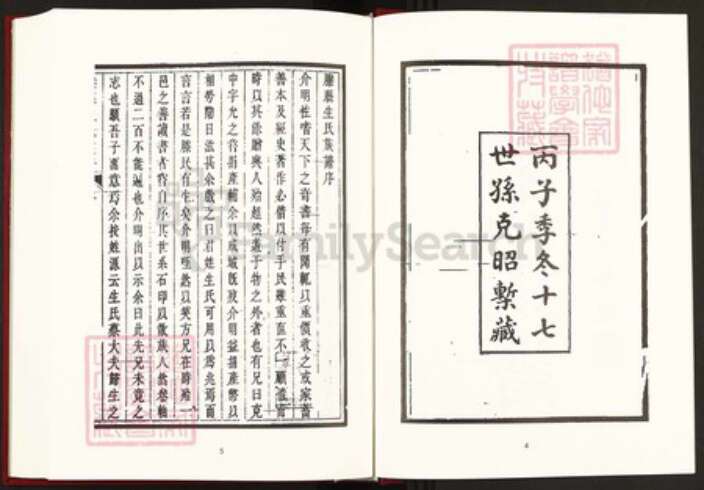 山东省枣庄市滕州市滨湖镇生氏族谱-中国珍稀家谱丛刊稀见姓氏家谱.第8册.滕县生氏族谱.pdf电子版预览图4