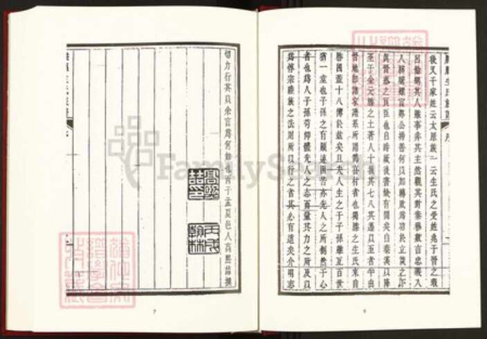 山东省枣庄市滕州市滨湖镇生氏族谱-中国珍稀家谱丛刊稀见姓氏家谱.第8册.滕县生氏族谱.pdf电子版预览图5