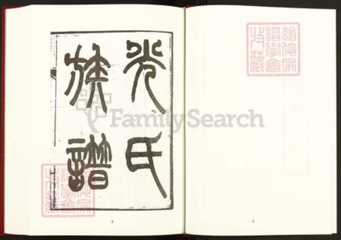 安徽省安庆市桐城市光氏孝先堂族谱-中国珍稀家谱丛刊稀见姓氏家谱.第14~16册.光氏族谱.pdf电子版预览图4