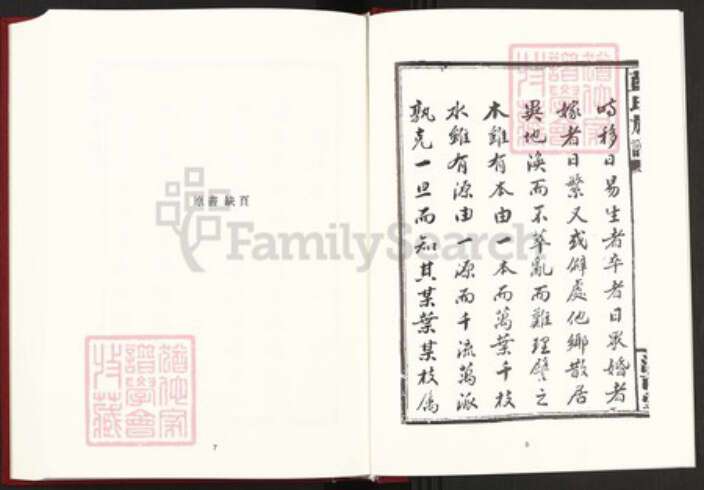 湖南省益阳市沅江市蓝氏汝南堂族谱-中国珍稀家谱丛刊稀见姓氏家谱.第29册.蓝氏族谱.pdf电子版预览图5